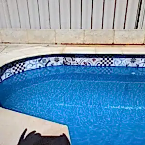 New Tiles and Bullnose Finished With Mid Blue Luxapool Gwelup (1)